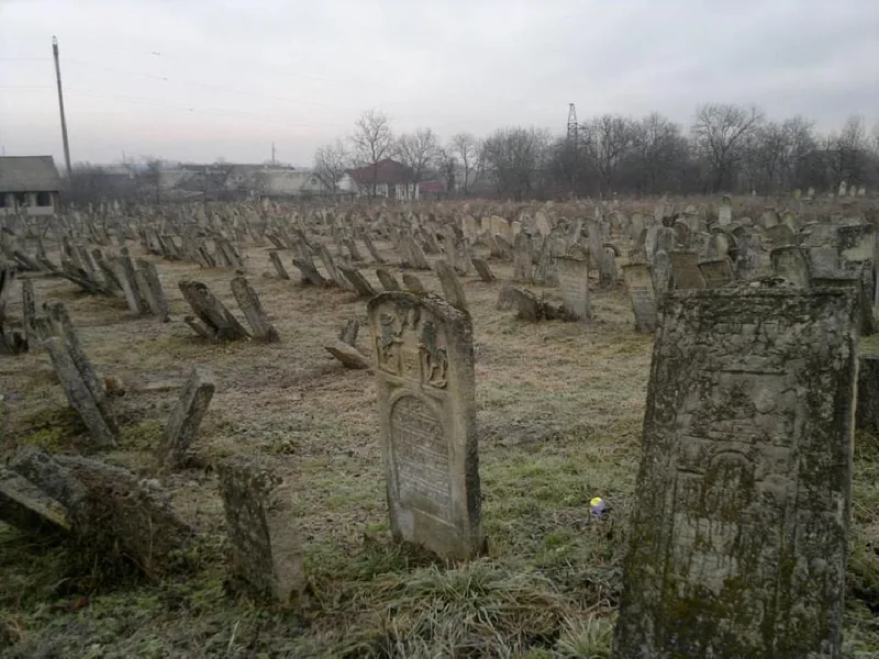 Jewish cemetery, Vyzhnytsia — cemetery overview