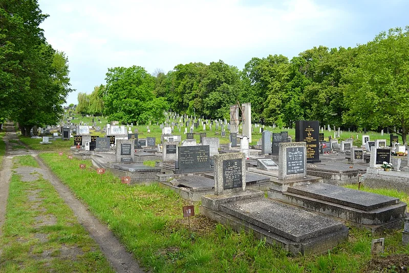 Jewish cemetery in Košice — cemetery overview