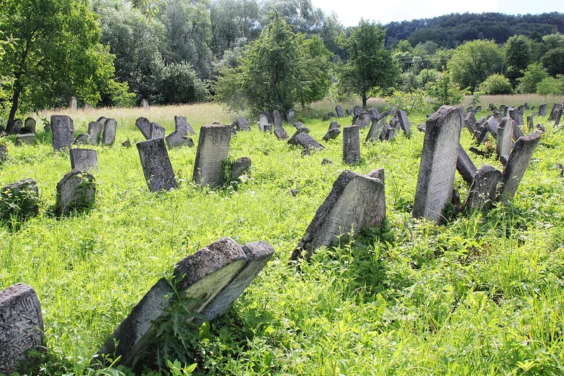 Old Jewish cemetery, Vyzhnytsia — cemetery overview