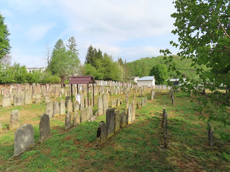 Jewish cemetery, Bardejov — open cemetery overview