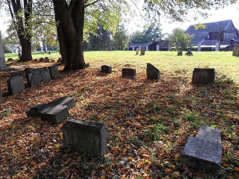 Jewish cemetery on Rybacka Street, Nowy Sącz — cemetery view