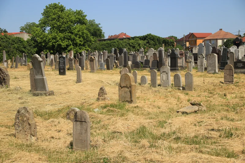 Jewish cemetery in Satu Mare — cemetery overview