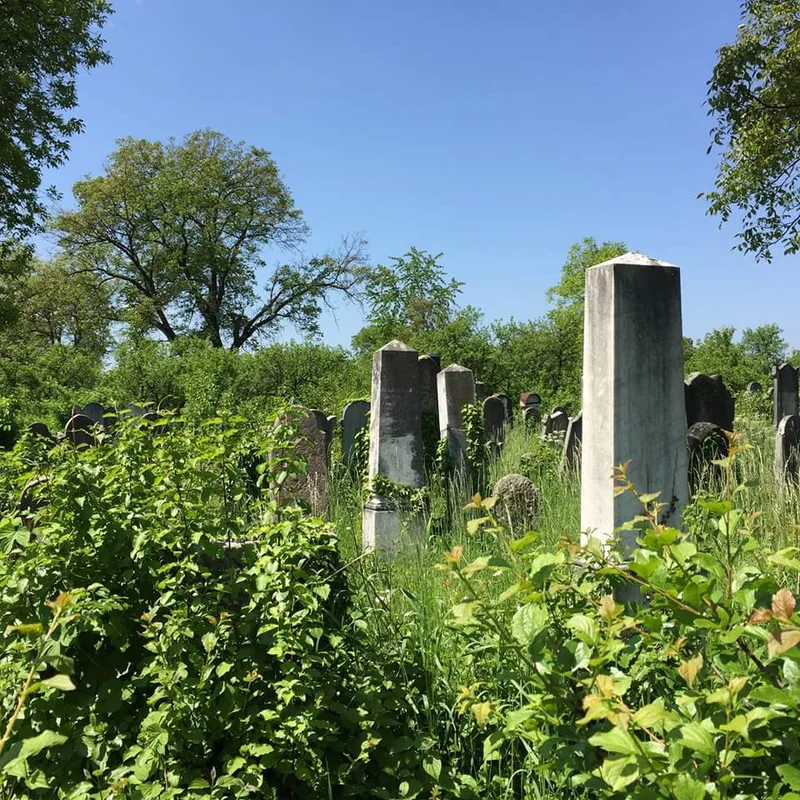 Old Jewish Cemetery, Sighetu Marmației — cemetery photograph
