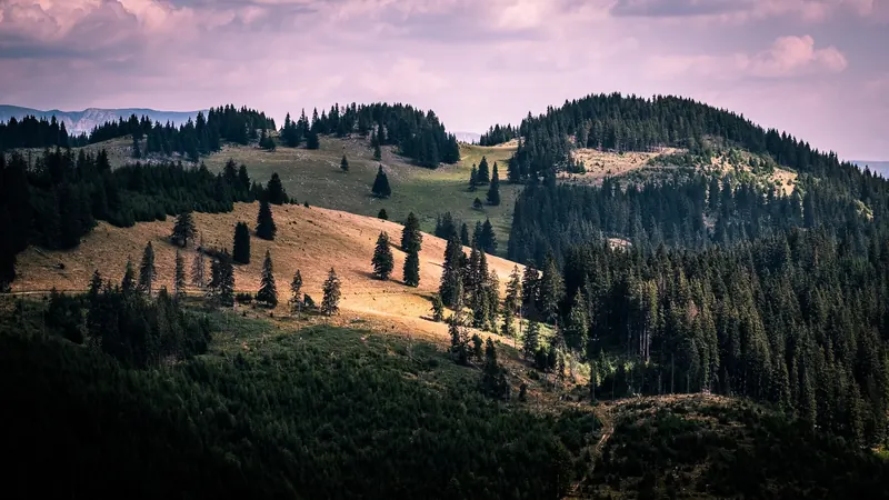 500px provided description: Check out my gallery at www.pixael.com/en/pictures if you want to see more pictures. You can follow me on www.facebook.com/giuseppemilophoto twitter.com/pixael_com instagram.com/pixael/ [#trees ,#sky ,#landscape ,#nature ,#light ,#clouds ,#outdoor ,#climbing ,#shadows ,#mountain ,#hiking ,#carpathians ,#romania ,#hike ,#piatra ,#craiului]
