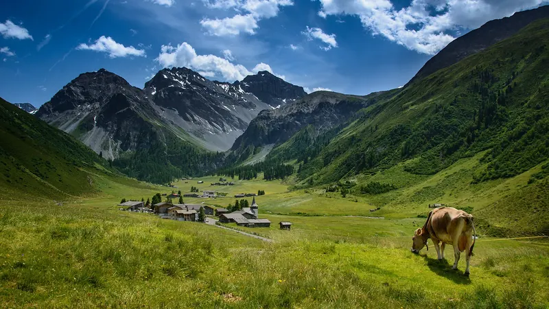 A cow in the picturesque mountain landscape around Sertig Dörfli, Davos, Switzerland