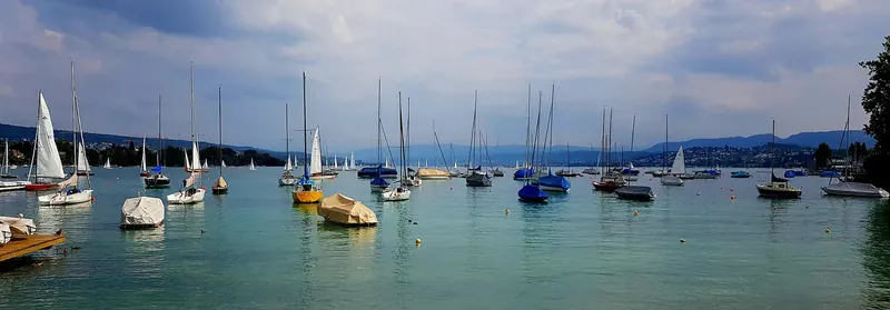An image of Lake Zurich taken from Arboretum Zürich. It features several boats at harbour.