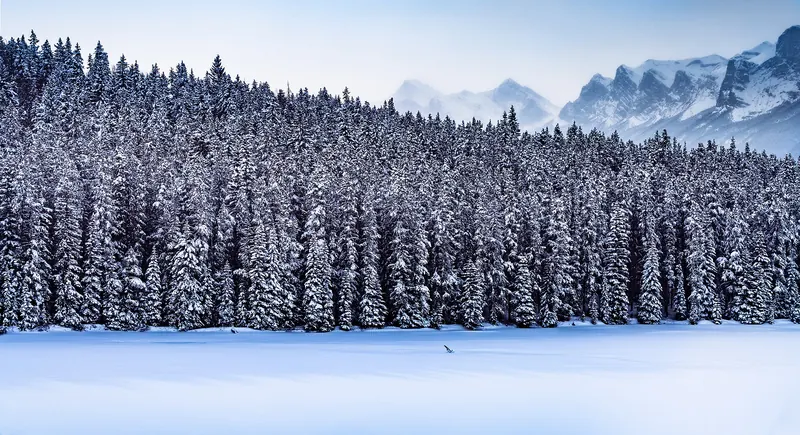 Banff Park, -27 °C.