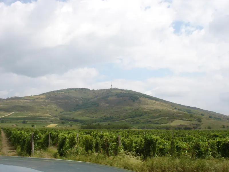 kajina v okoli Tokaje - landscape around Tokaj - Hungary