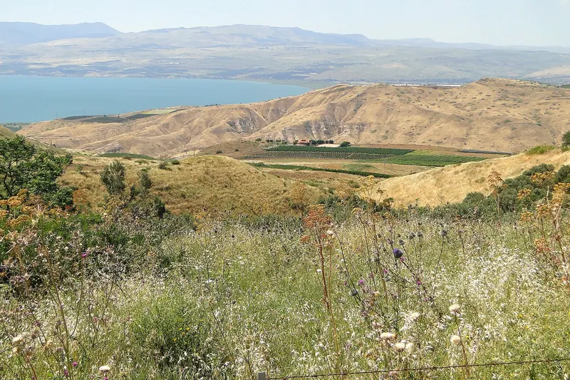 Landscape with Lake Kinnaret (Sea of Galilee) in Distance - From Golan Heights