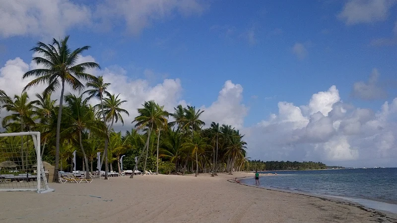 Palm-lined sandy beach and sea in Punta Cana