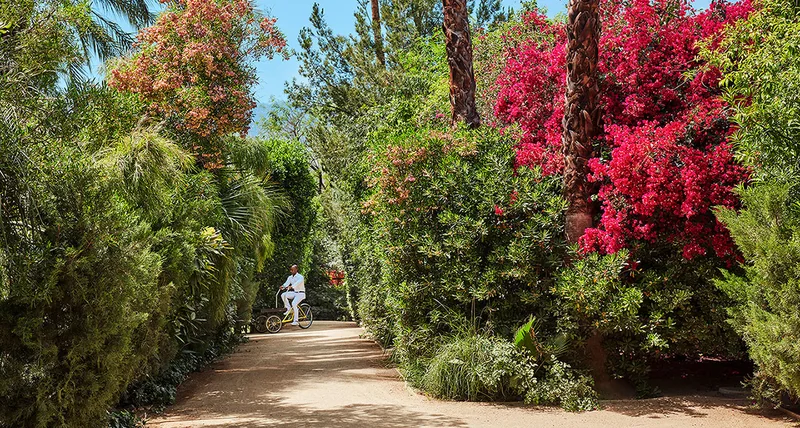 Parker Palm Springs garden walkway framed by palms and flowering bougainvillea