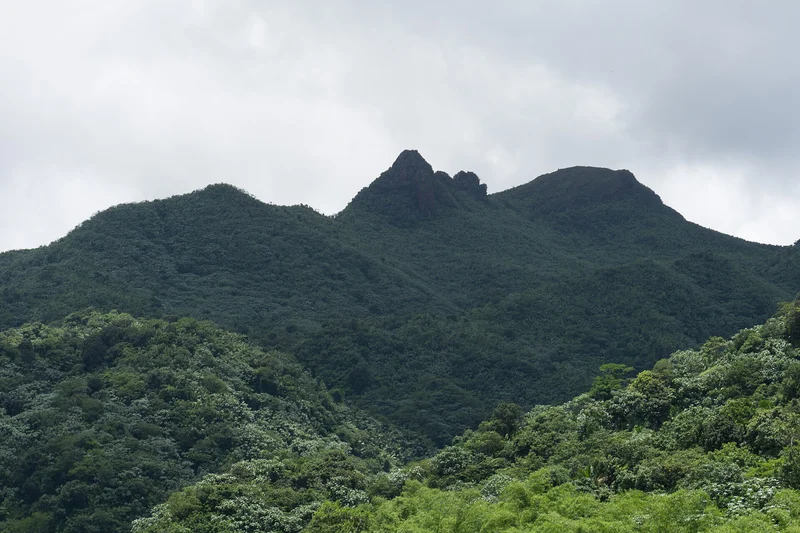 Rainforest-covered peaks in El Yunque National Forest, Puerto Rico